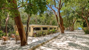 A tree-lined pathway leading to a building with a sign reading "Sofitel." - Sunrise Bungalow at Largo Resort (Key Largo)