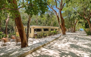 Uma trilha arborizada conduz a um edifício com uma placa que diz 'Sofitel'.