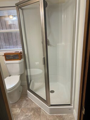 Shower, hair dryer, toilet paper