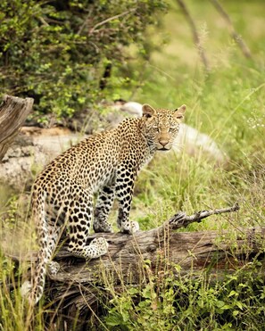 View from property - Nje Bush Camp (Dar es Salaam)