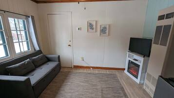 Smart-TV, Kamin