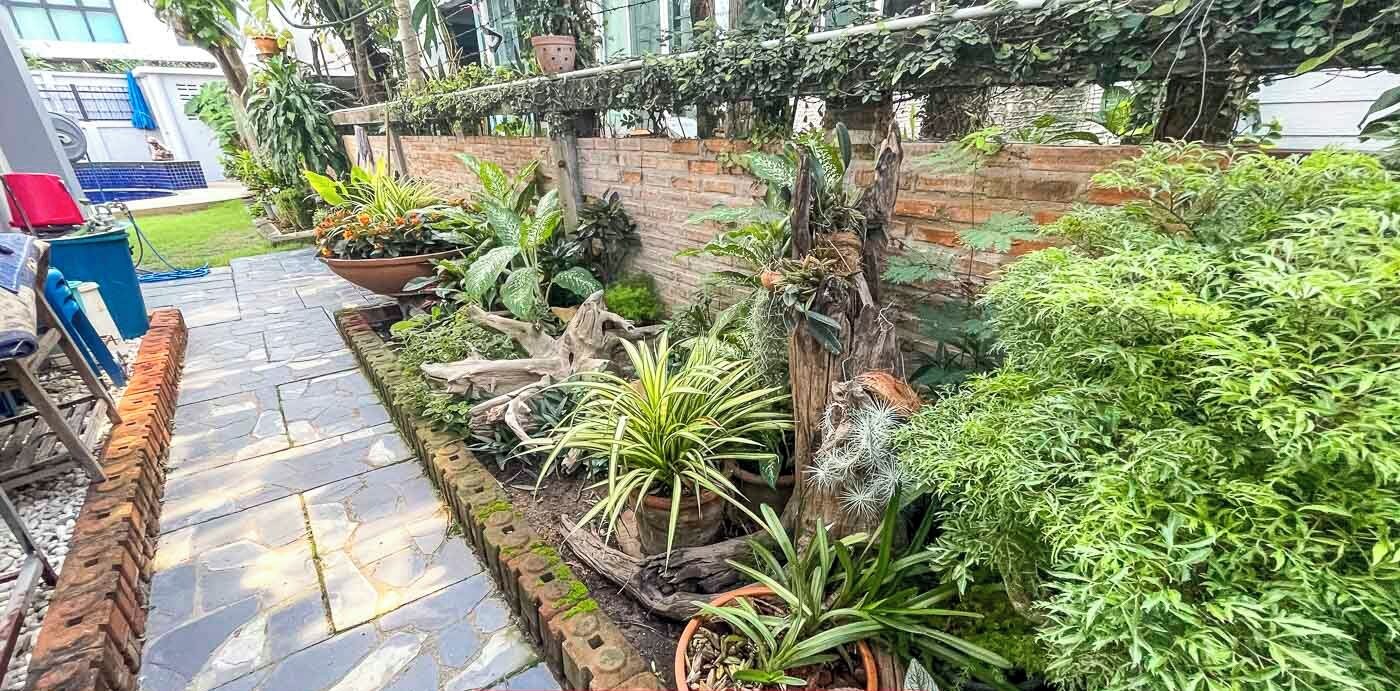 A garden with a stone pathway, various potted plants, and a brick wall.