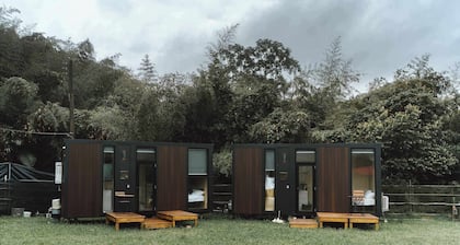 Jade in the Wilderness by Tiny Away (碧野寮)