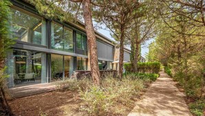 A modern house with large glass windows, a wooden deck, and a pathway surrounded by trees.