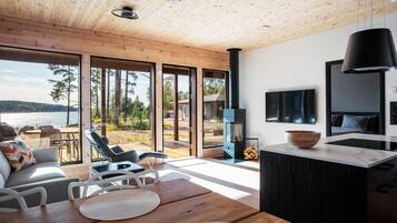 电视、壁炉、立体声音响