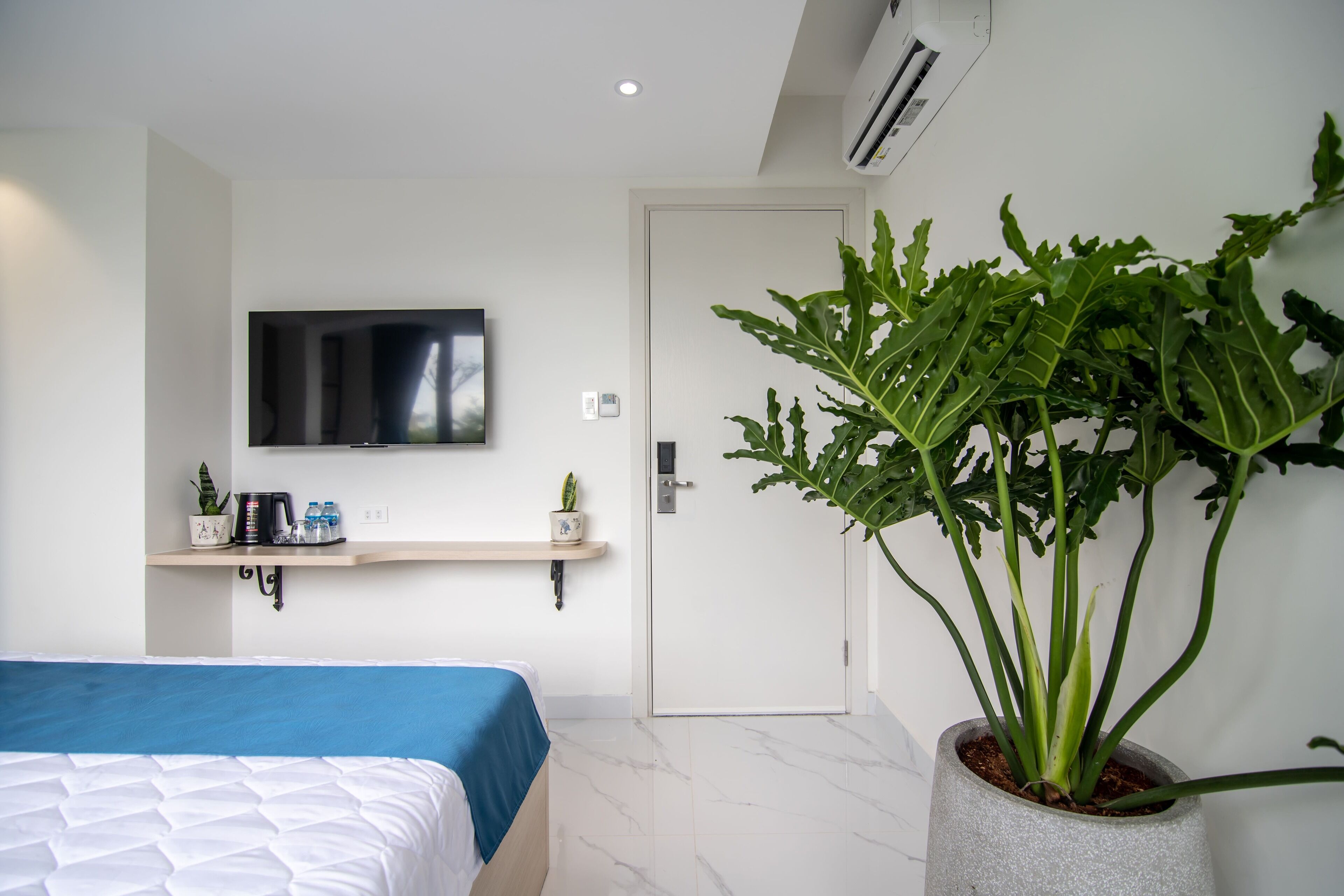 A modern hotel room with a bed, a TV mounted on the wall, a small shelf with a coffee maker and a plant, and a large potted plant by the door.