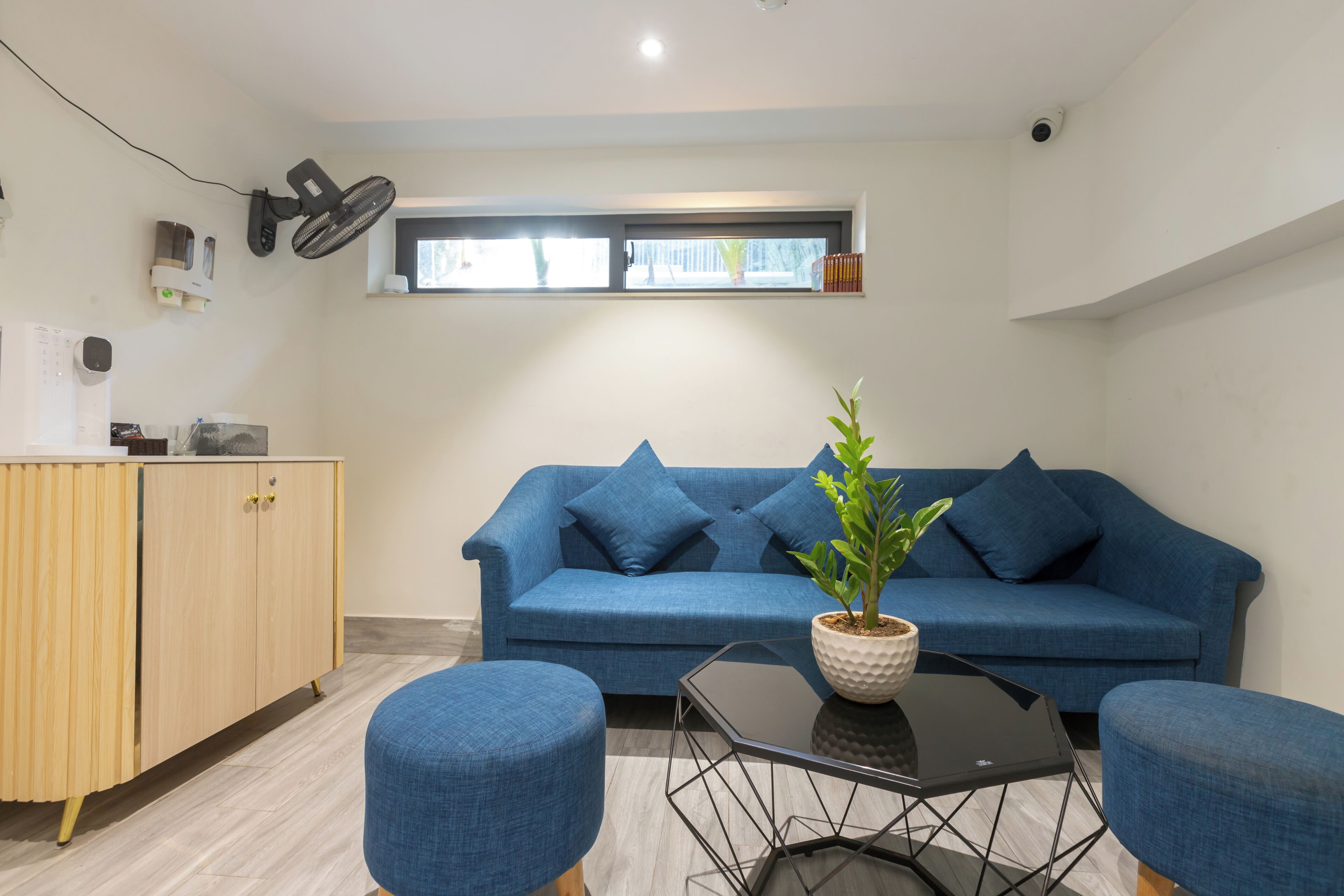 Ein modernes Wohnzimmer mit einem blauen Sofa, einem Holzschrank und einem schwarzen Couchtisch mit Pflanze.