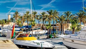 A marina with multiple boats docked, surrounded by palm trees and buildings.