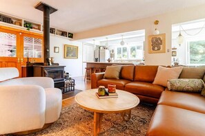 Smart TV, chimenea, libros