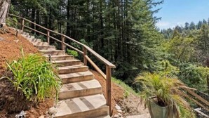 Eine Treppe aus Stein mit einem hölzernen Geländer, umgeben von üppiger Vegetation und hohen Bäumen, die einen Hang hinaufführt.