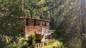 Eine Holzhütte im Wald mit einer Veranda und einer Treppe zum Eingang.