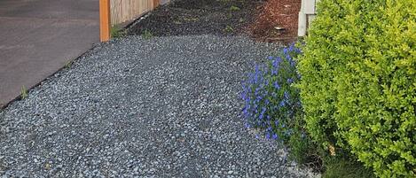A gravel pathway leading to a wooden fence, a small shed, and a house with a sloped roof.
