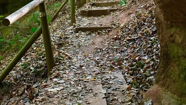 A person walking up a wooden staircase in a forested area with a metal railing.