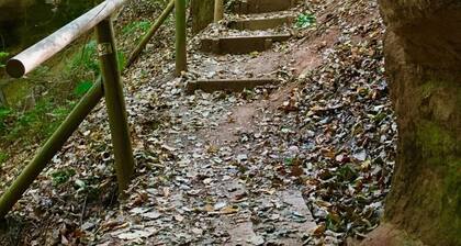 Apartment 'Ferienwohnung Birnbaum' with Private Terrace, Shared Garden and Wi-Fi