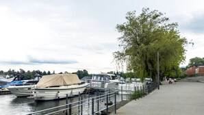 Een jachthaven met aangemeerde boten, een voetpad en een grote boom.