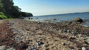 Une plage rocheuse offrant une vue dégagée sur la mer, avec une zone boisée en arrière-plan.
