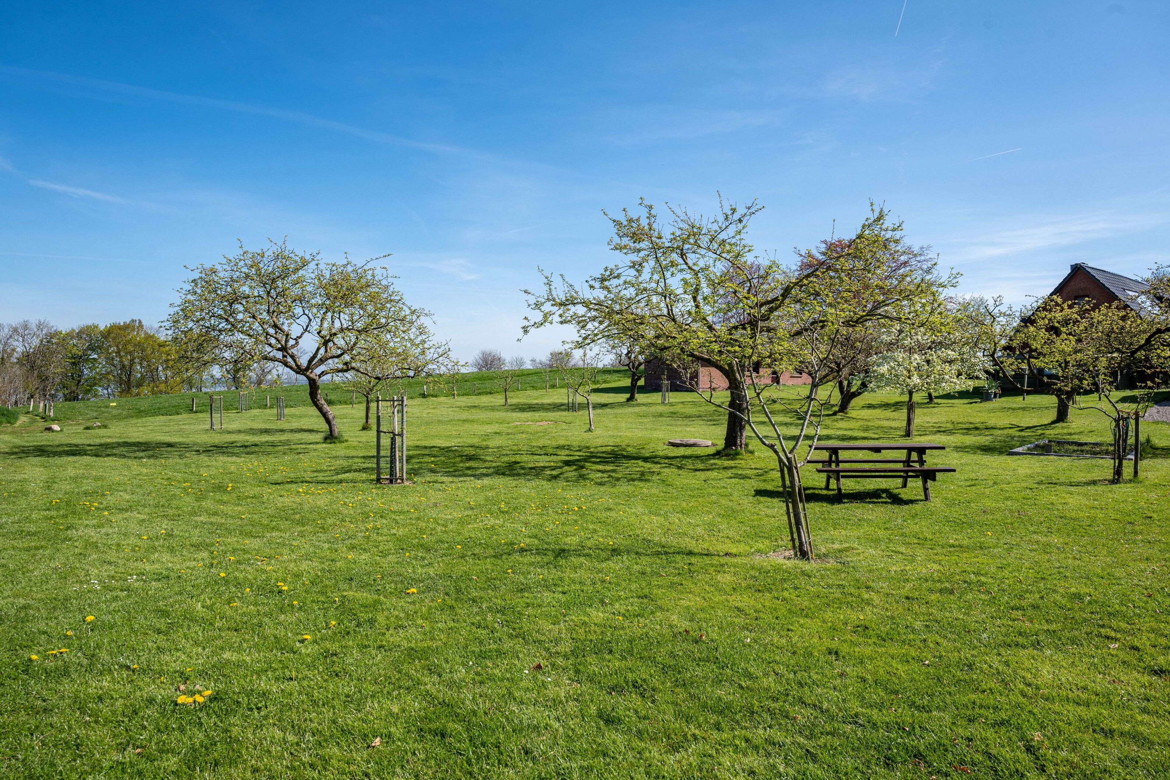 Un champ herbeux avec des arbres, un banc en bois et un bâtiment doté d’un toit en pente.