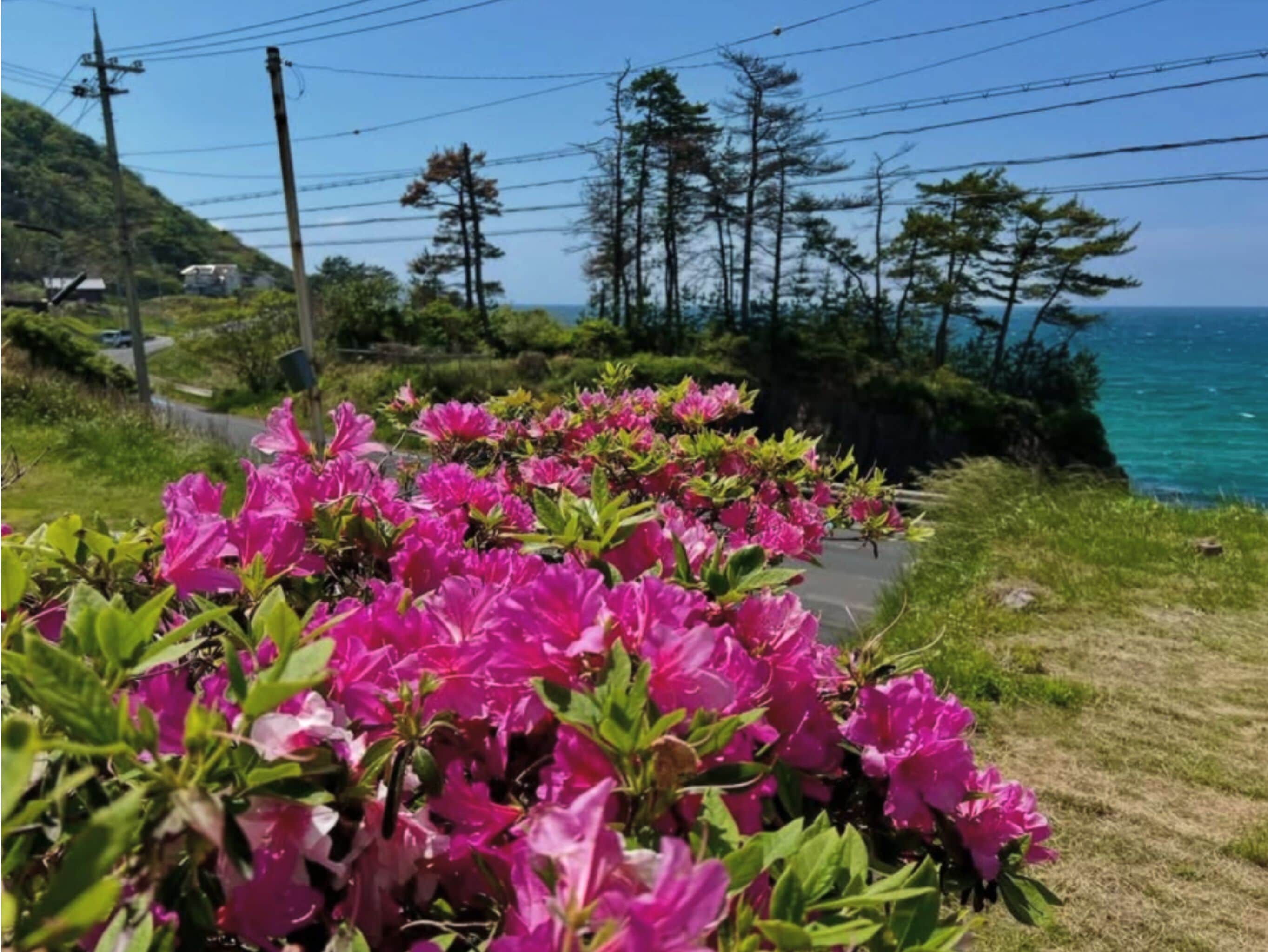 施設の敷地