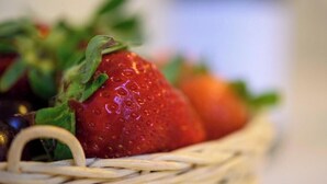 A basket of strawberries. - Housestation S (Palermo)