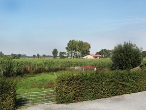 Ländliche Landschaft mit einem Feld, einem Zaun und einem Gebäude mit rotem Dach.