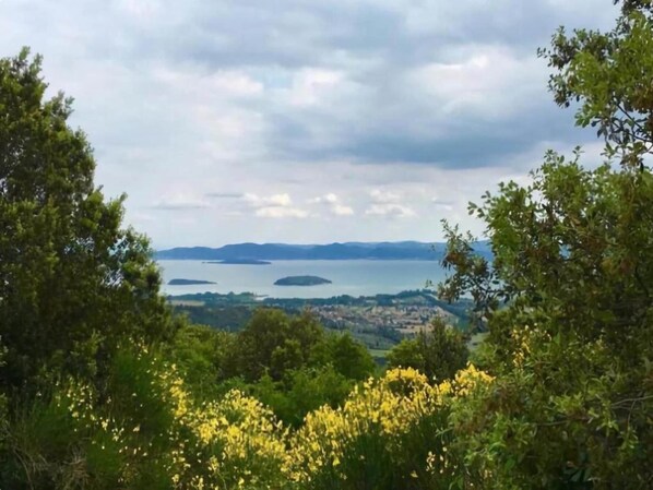 Un paisaje costero con vista al mar y a islas distantes, rodeado de vegetación densa y plantas florecientes.