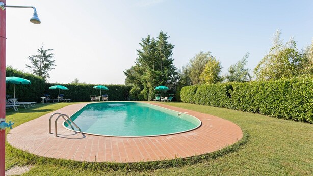 Piscina rectangular con plataforma de ladrillo, rodeada de césped verde y árboles.