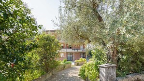 Un sendero pavimentado que conduce a un edificio de fachada de ladrillo, rodeado de exuberante vegetación y olivos.