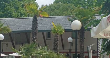 Viareggio center immersed in the Pinewood 200 meters from the beach