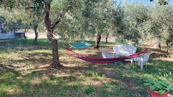 Terrain de l’hébergement