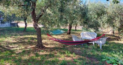 Conny's Green House, Casa Immersa nel Verde di Uliveti Secolari Relax Garantito