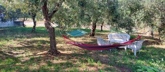 Conny's Green House, casa immersa nel verde di uliveti secolari relax garantito