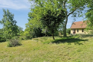 A house with a red roof, surrounded by a grassy area with trees. - Old local house from 1904 with natural garden. (Tranekær)