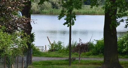 Ferien auf dem Bauernhof, ruhige Lage mit viel Platz und vielen Tieren