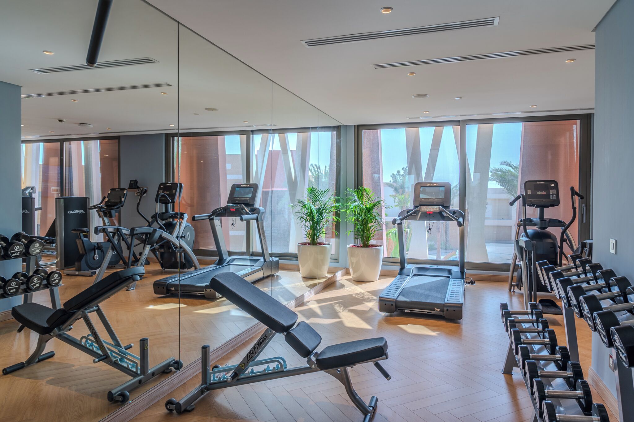 A modern gym with treadmills, weight machines, and dumbbells.