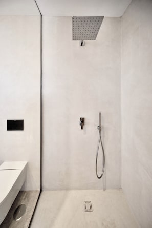 Regadera, secadora de cabello, bidet, toallas