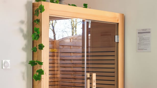 A wooden door with a glass panel, a wooden wall with horizontal slats, and a small plant with green leaves. - Le Gîte Spa du Cèdre Bleu Absolute Place of Relaxation and Soothing!  (La Tourette-Cabardès)
