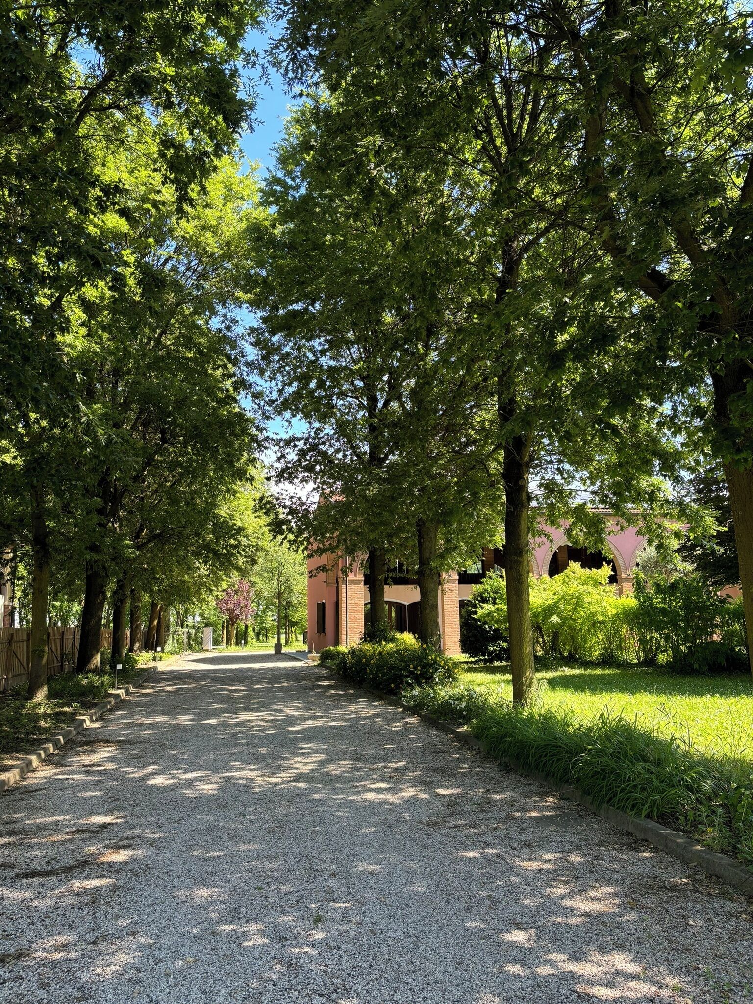 A gravel pathway flanked by trees leading to a building with arches.