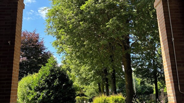 Une structure en briques en forme d’arc, offrant une vue sur un jardin bien entretenu et des arbres.