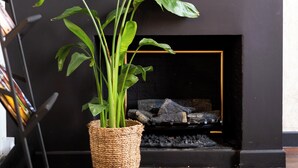 A modern living room with a fireplace, a large framed picture of food, and a potted plant. - Contemporary Excellence, by Veeve (Paris)