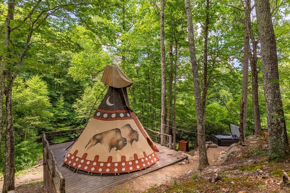 Unclassified image, 1 of 24, button - Spirit Bear TeePee at Eagles Nest (Banner Elk)