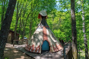 Miscellaneous - Spirit Bear TeePee at Eagles Nest (Banner Elk)