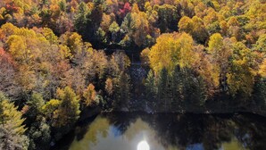 A forested area with a body of water reflecting the trees. - Lake Overlook (Banner Elk)