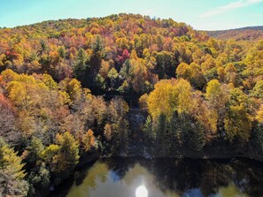 Une zone boisée où un plan d’eau reflète les arbres.