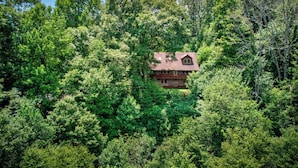 A cabin surrounded by dense forest. - Crosswind (Vilas)