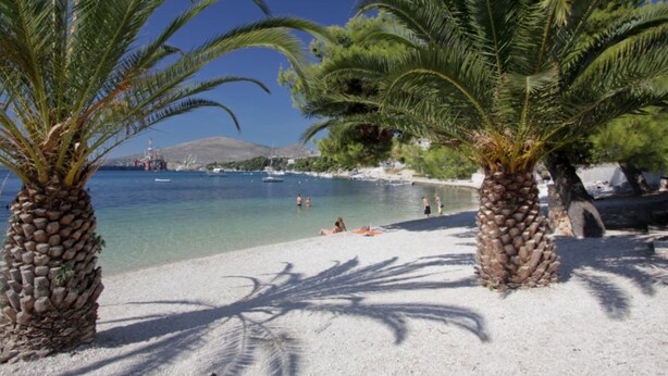 Una playa con palmeras, agua cristalina y barcos a lo lejos.