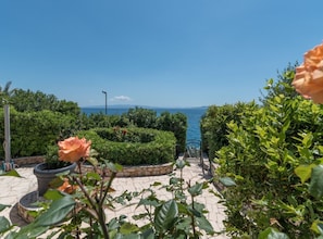 Apartment (Apartment Villa Daniela - Three Bedro) | Garden - Apartment Villa Daniela (Okrug)