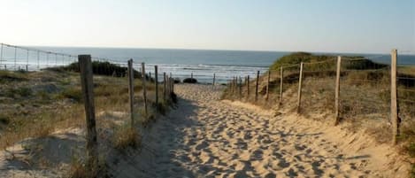 Playa en los alrededores
