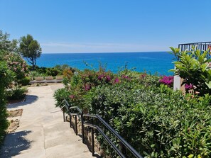 Step into serenity with a natural entrance flanked by lush greenery, leading to a balcony with breathtaking ocean views.