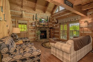 Télévision, cheminée, lecteur de DVD