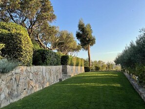 Área da propriedade